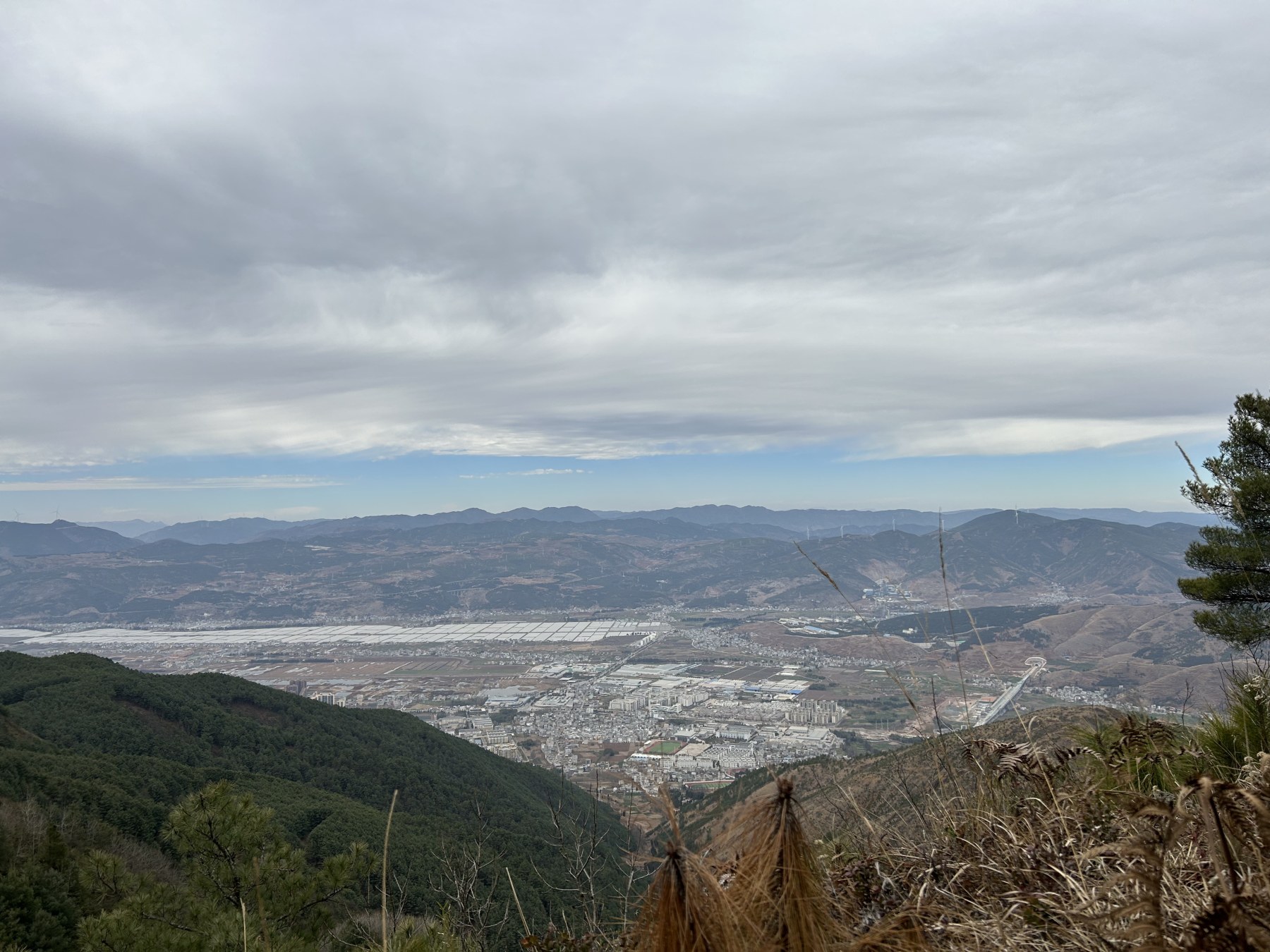 From a Yunnan Mountain Village to the World: Why I Started MorchellaHub