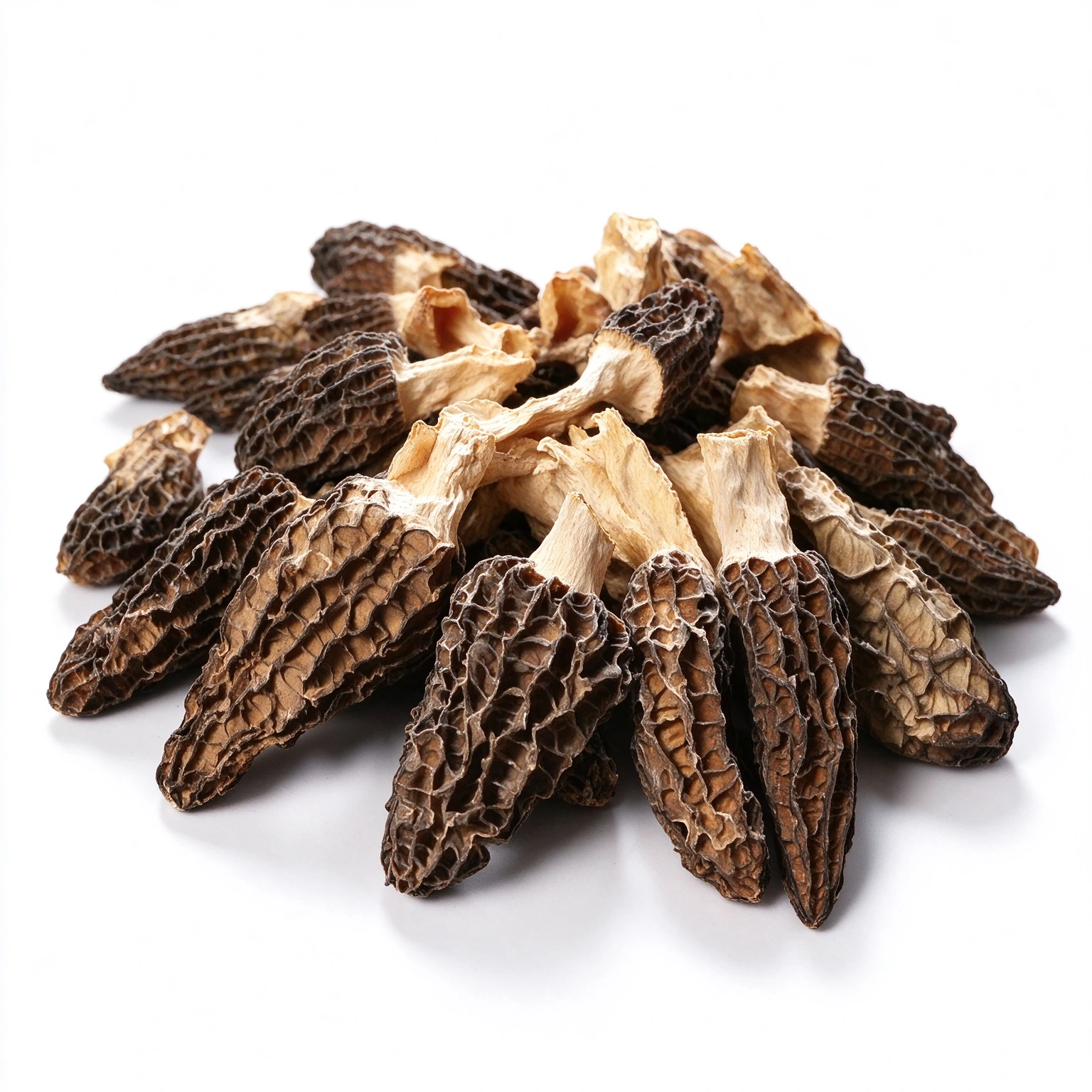 Dried morel mushrooms photographed on a white background