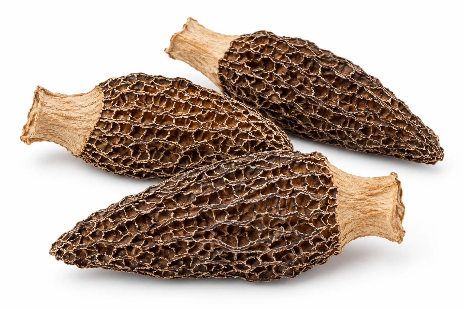 AI-generated illustration: Three dried morels facing different directions on white