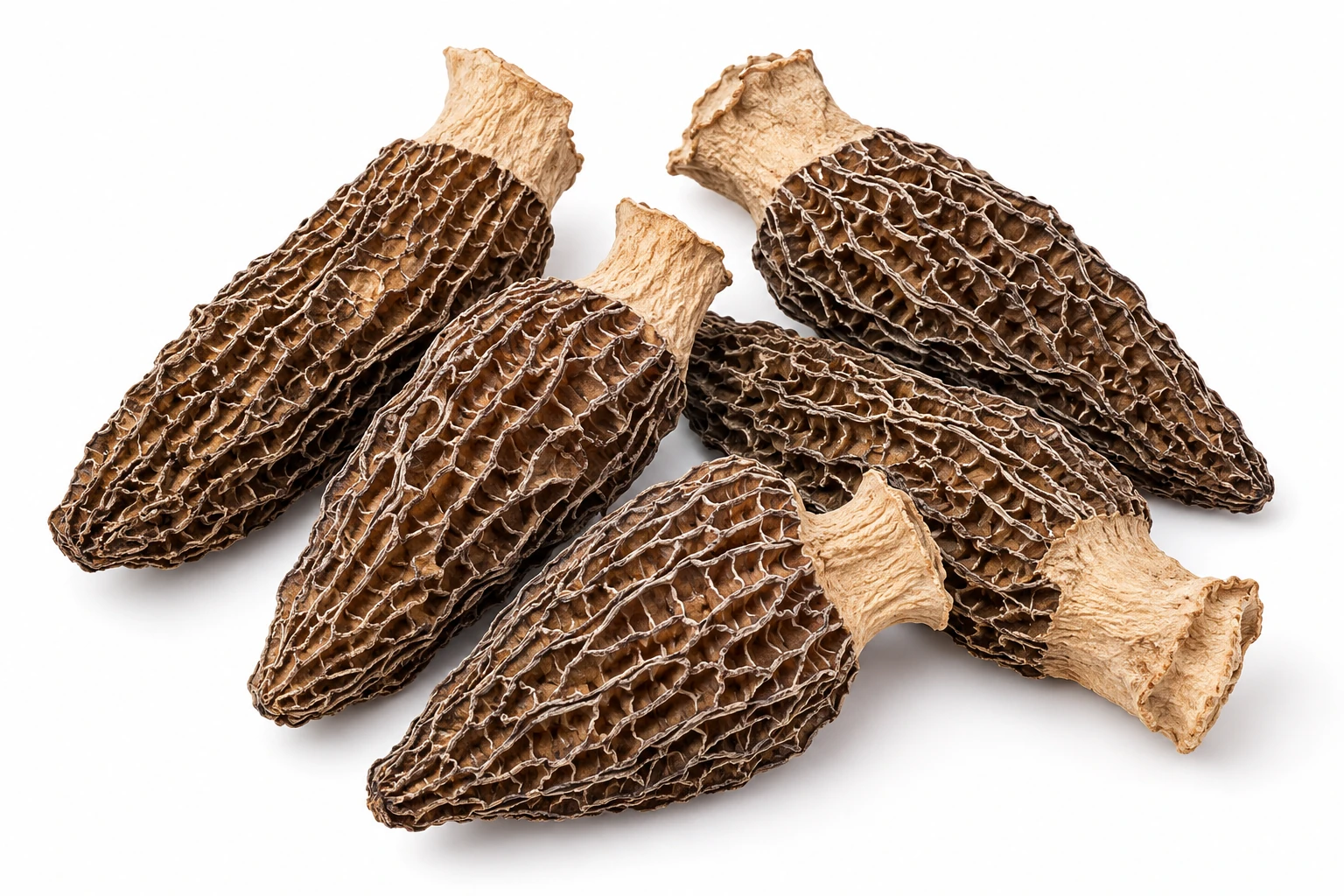AI-generated illustration: Dried morels on white, studio arrangement adapted from supplied product photograph